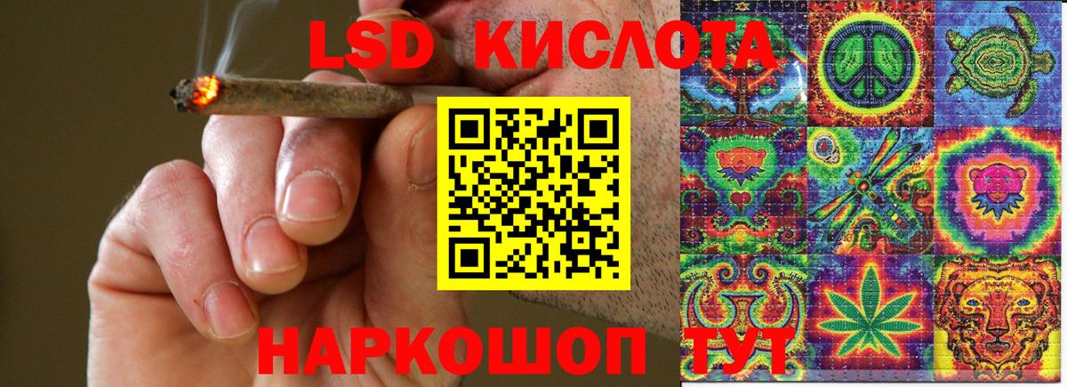закладки  Вход с VPN  Елизово  Марки N-bome 1,8мг 