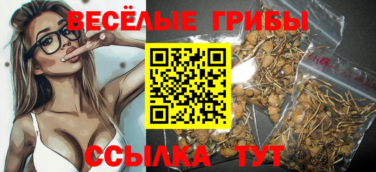 купить закладку  Вход с VPN  Елизово  Псилоцибиновые грибы Psilocybe 