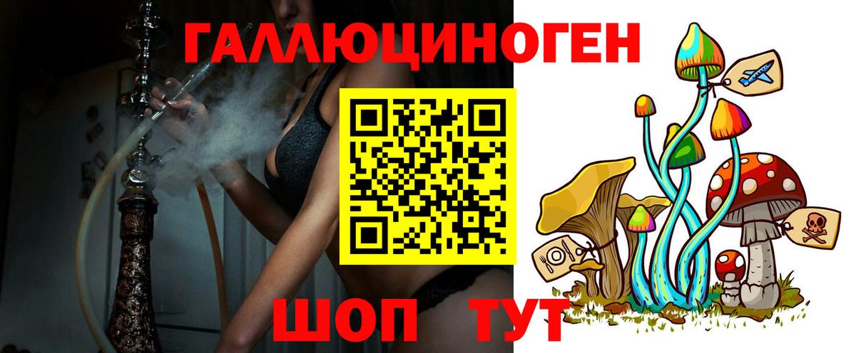 Псилоцибиновые грибы Psilocybine cubensis Елизово